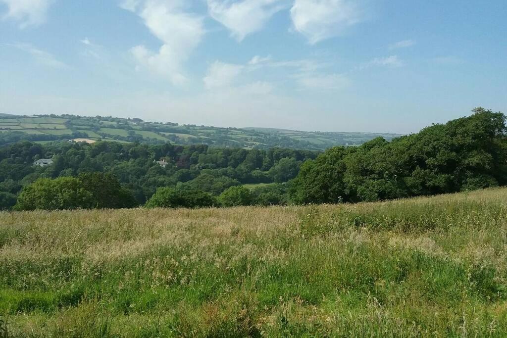 Stags View,Unique Eco Cabin, Dartmoor Views South Brent Exterior foto